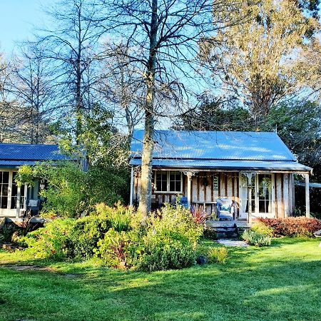 Bumblebee Cottage Greytown Exterior foto