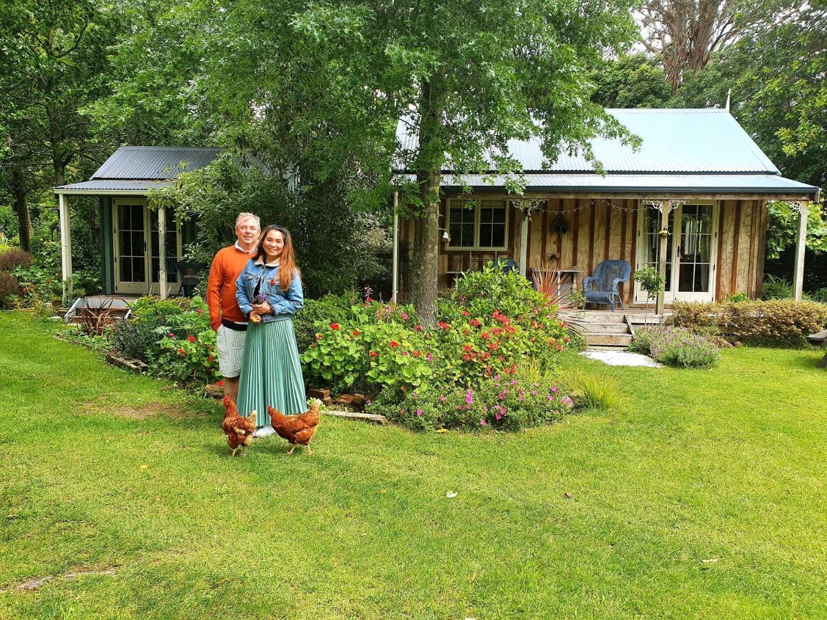 Bumblebee Cottage Greytown Exterior foto